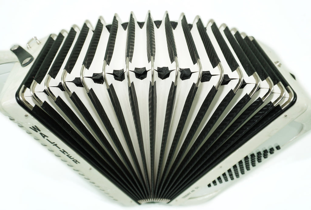 Close to New! Walther Teeny 48 Bass Lightweight Piano Accordion, German Akkordeon for Beginners Children Kids, Straps, Hard Case, 2697