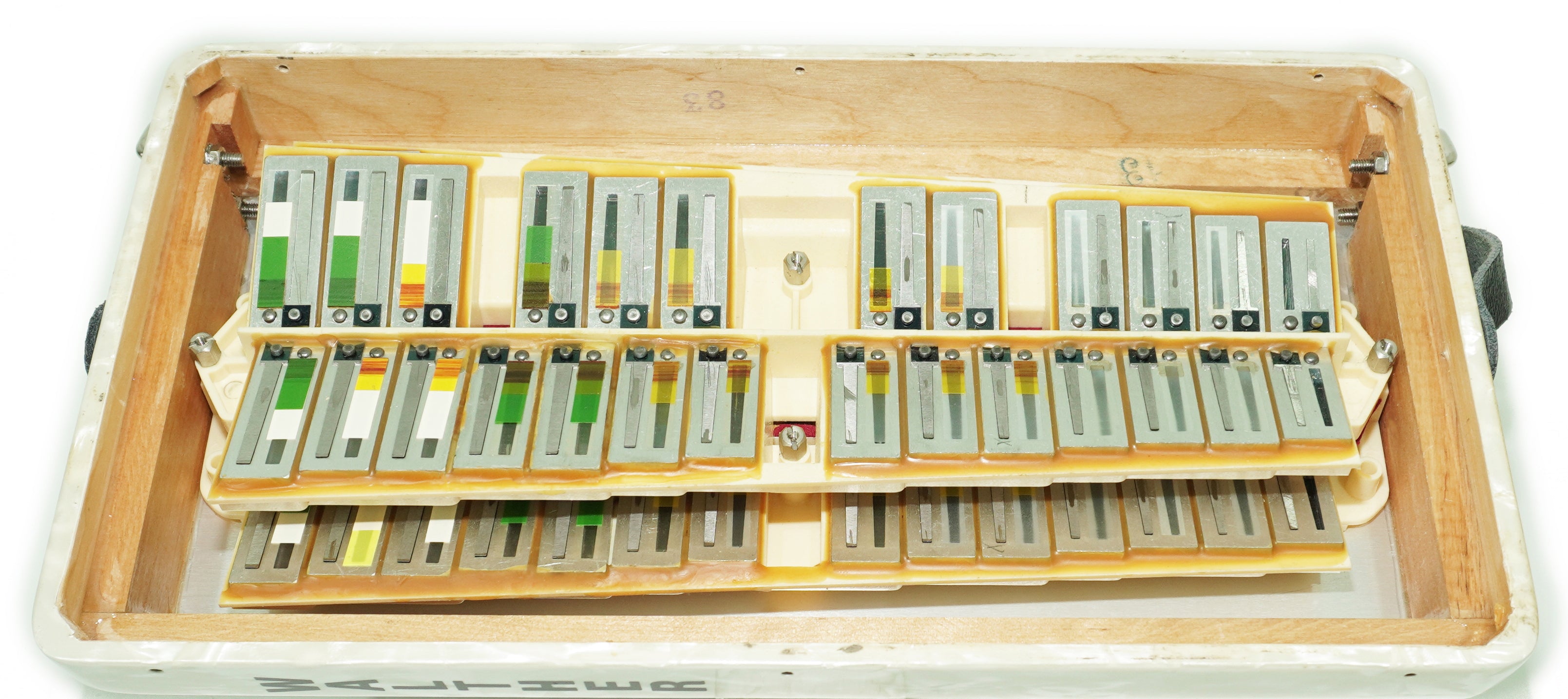 Close to New! Walther Teeny 48 Bass Lightweight Piano Accordion, German Akkordeon for Beginners Children Kids, Straps, Hard Case, 2697