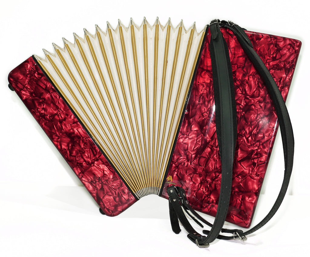 Vintage Weltmeister Stella Accordion 120 Bass, Old German Keyboard Piano Accordian, New Straps and Soft Bag for Gift, 2709