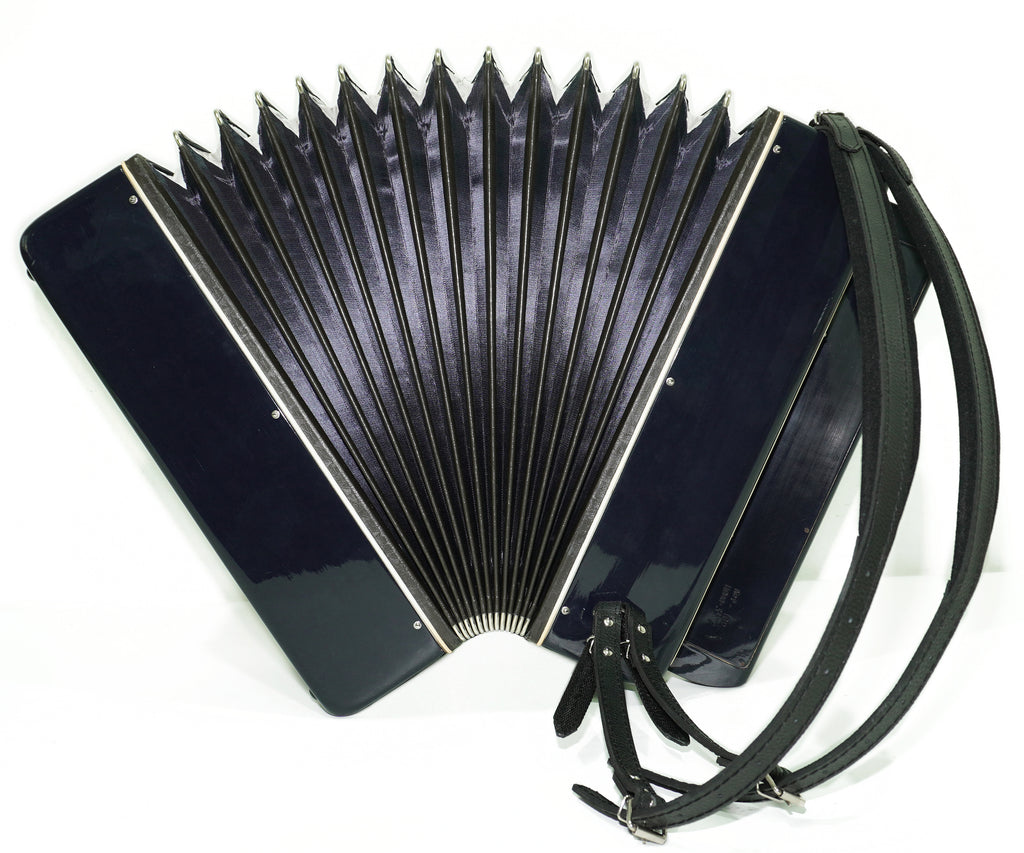 Converter Bayan Rubin 7 Free Bass and Stradella, 120 Bass Button Accordion, Vintage Russian Bayan Accordian with Straps and Case, 2717