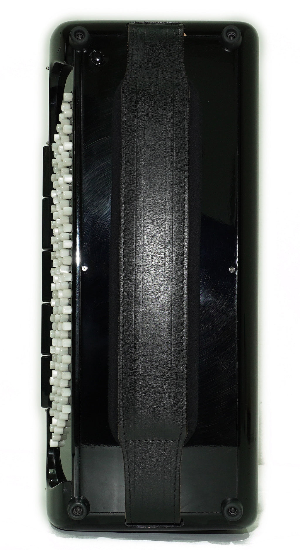 PIGINI Professional 5 Row Button Accordion 120 Bass C Griff, Double Cassotto, made in Italy, Straps and Case, 2716
