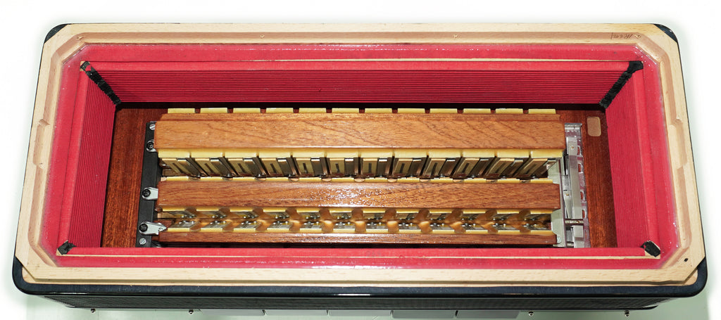 PIGINI Professional 5 Row Button Accordion 120 Bass C Griff, Double Cassotto, made in Italy, Straps and Case, 2716