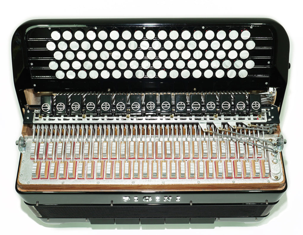PIGINI Professional 5 Row Button Accordion 120 Bass C Griff, Double Cassotto, made in Italy, Straps and Case, 2716