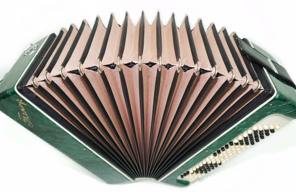 Tenor Bayan Ukraine Chromatic Button Accordion 100 Bass, New Straps and Case, Concertina Stradella B System, Harmonica in Tune, 2726