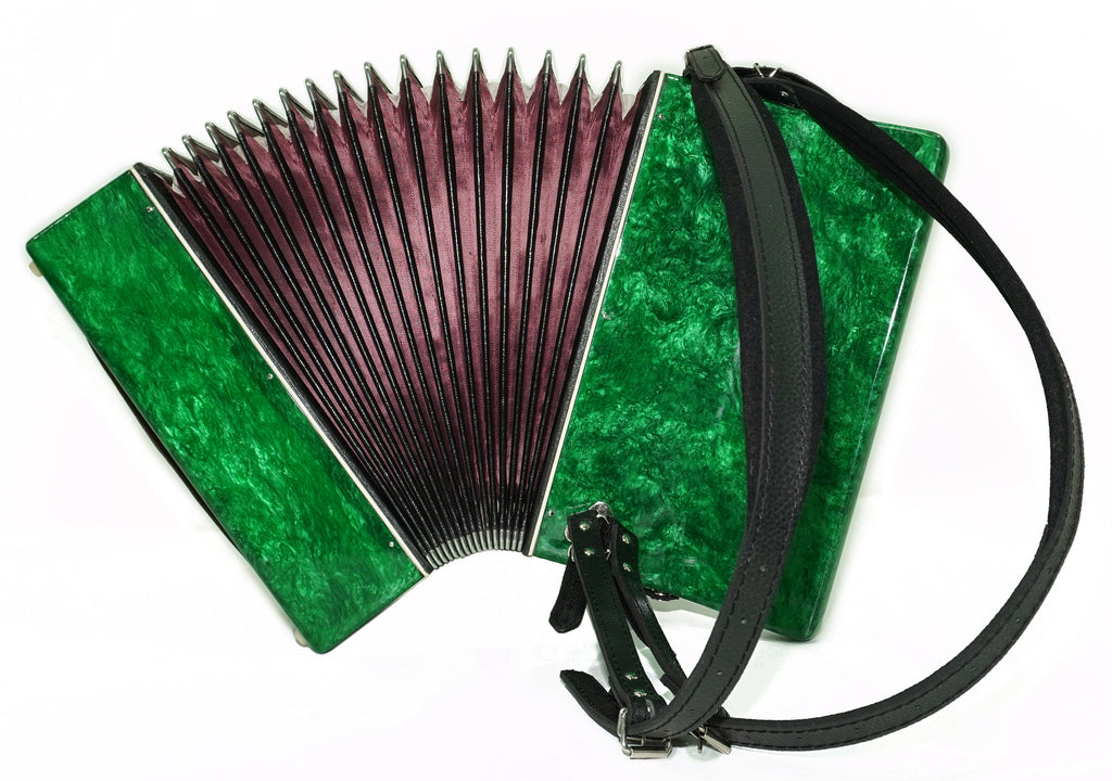 Lightweight Russian Piano Accordion 60 Bass Teza Yunost for Beginners Children Kids, New Straps, Small Concertina Musicales for Study, 2729