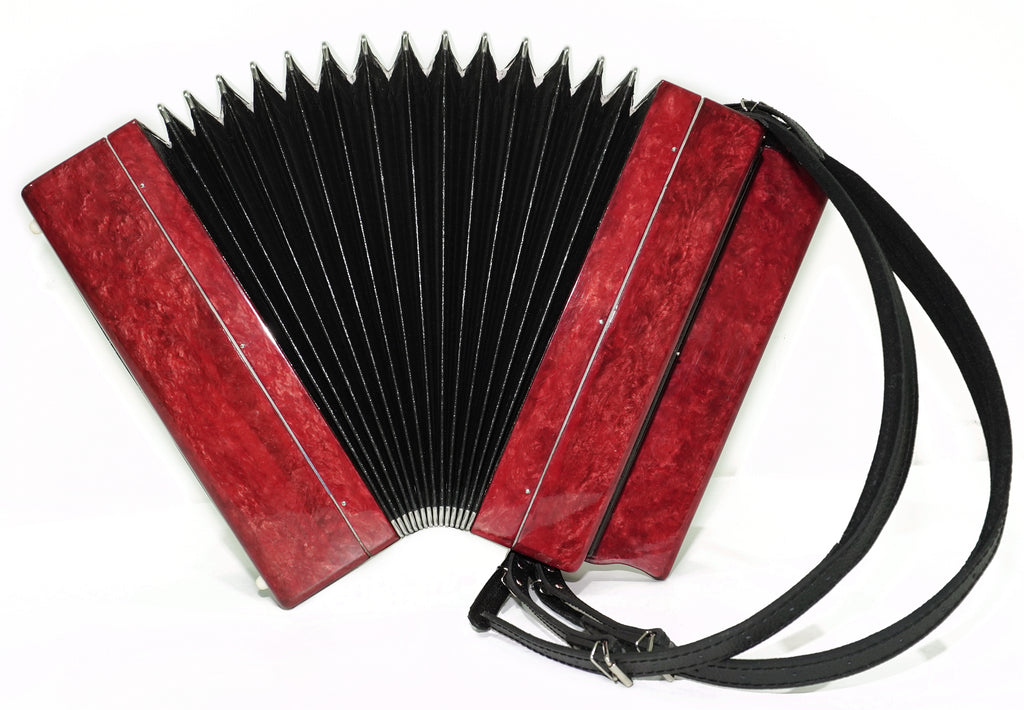 Tulskiy Russian Bayan Tula 202 Button Accordion 100 bass Acordeone de Botones, New Straps and Soft Case for Gift, 2733