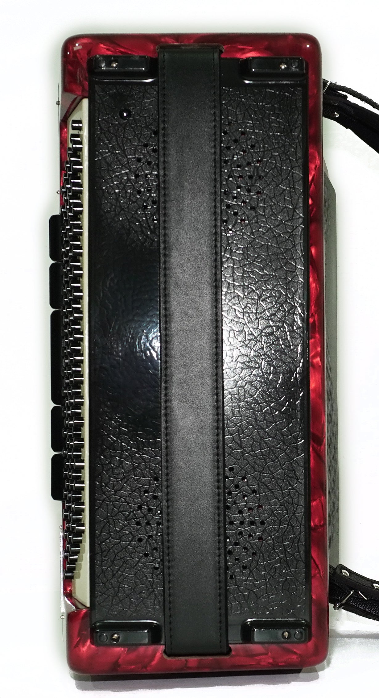 Weltmeister Grandina Button Accordion 120 Bass, made in Germany, preorder for Karina Karnaukh, first payment