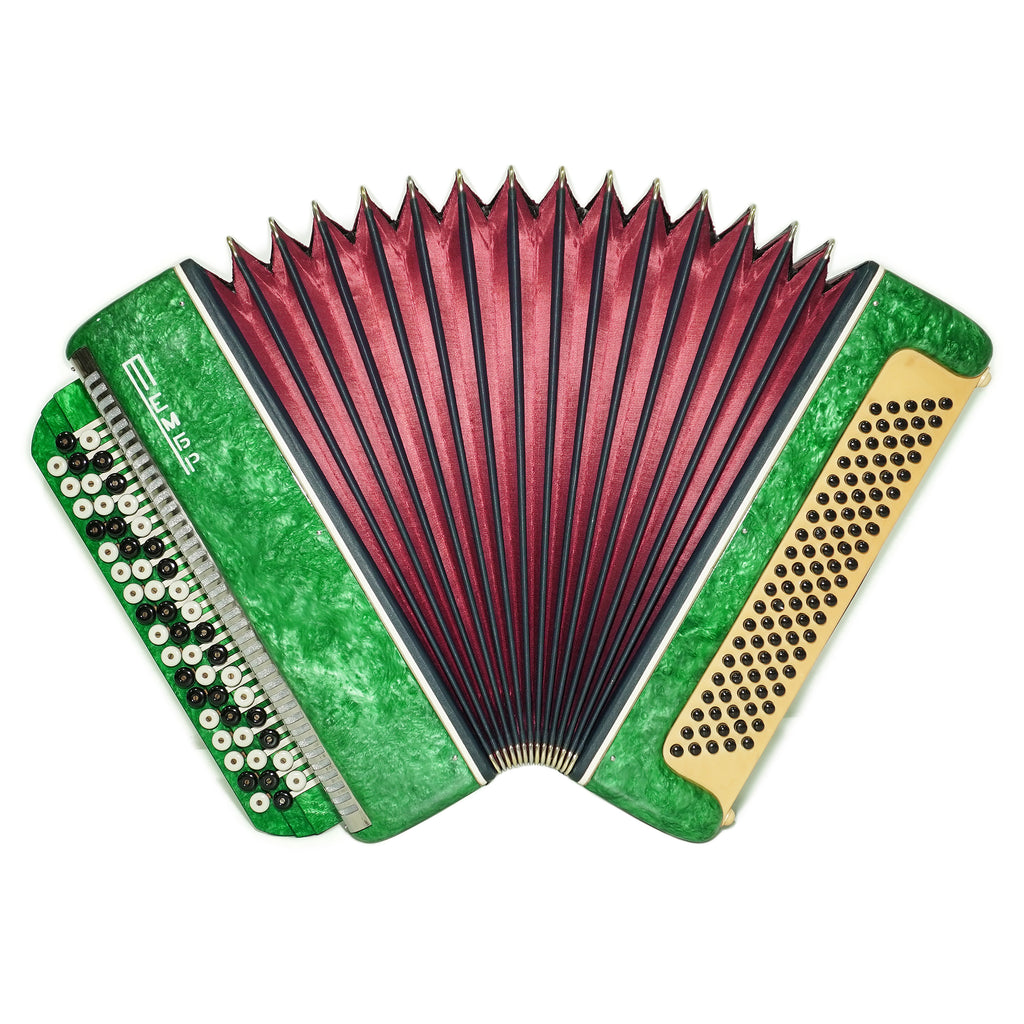 Bayan Tembr Ukraine Button Accordion 100 Bass, New Straps and Case, Concertina Stradella B System, Harmonica in Tune, 2750