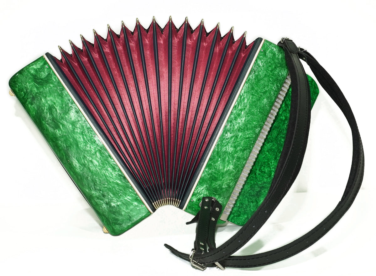 Bayan Tembr Ukraine Button Accordion 100 Bass, New Straps and Case, Concertina Stradella B System, Harmonica in Tune, 2750