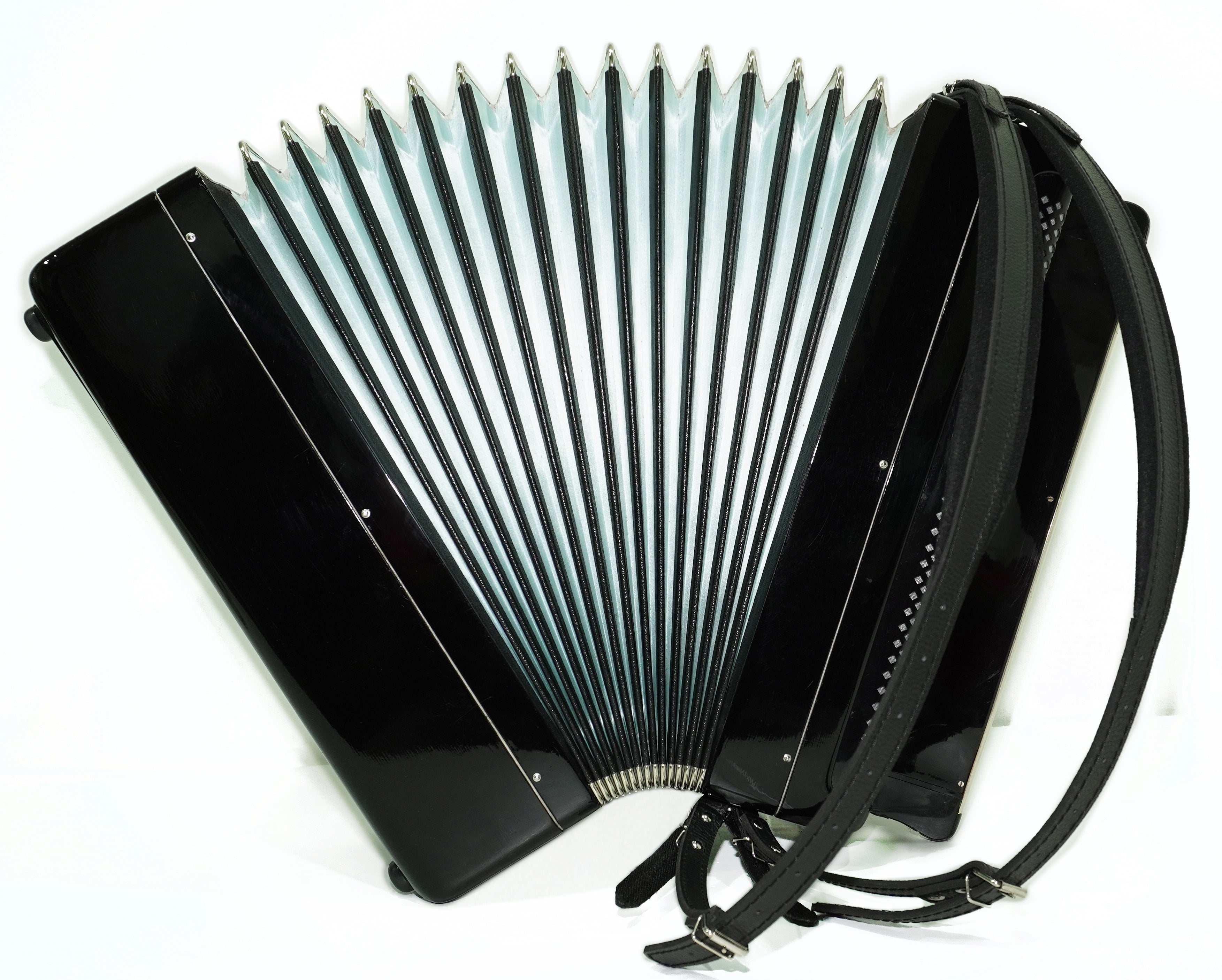 Converter Free Bass Button Accordion Yasnaya Polyana Russian Bayan Copper Voices Solid Reeds, New Straps and Soft Case, 2734