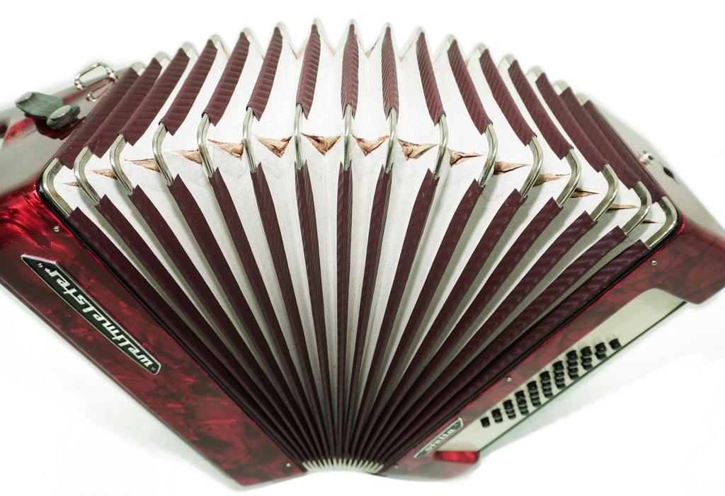 Weltmeister Stella 32 Bass Lightweight Piano Accordion for Beginners Children Kids, made in Germany Small Accordian with New Straps, 2736