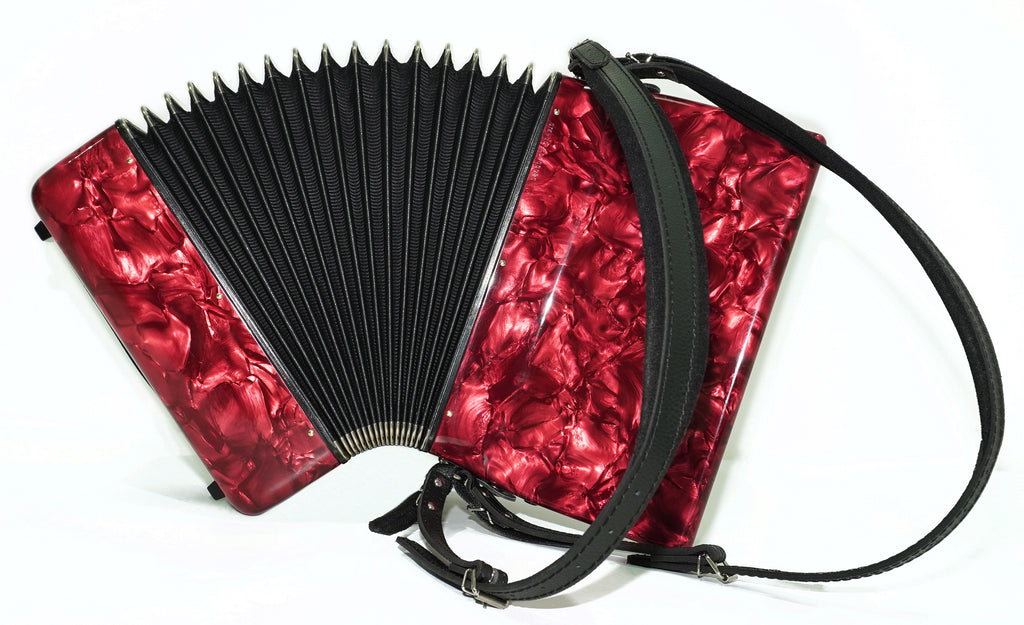 HOHNER Hohnica 48 Bass Lightweight Piano Accordion, German Original Akkordeon Musical Instrument for Beginners Kids, New Straps, 2743