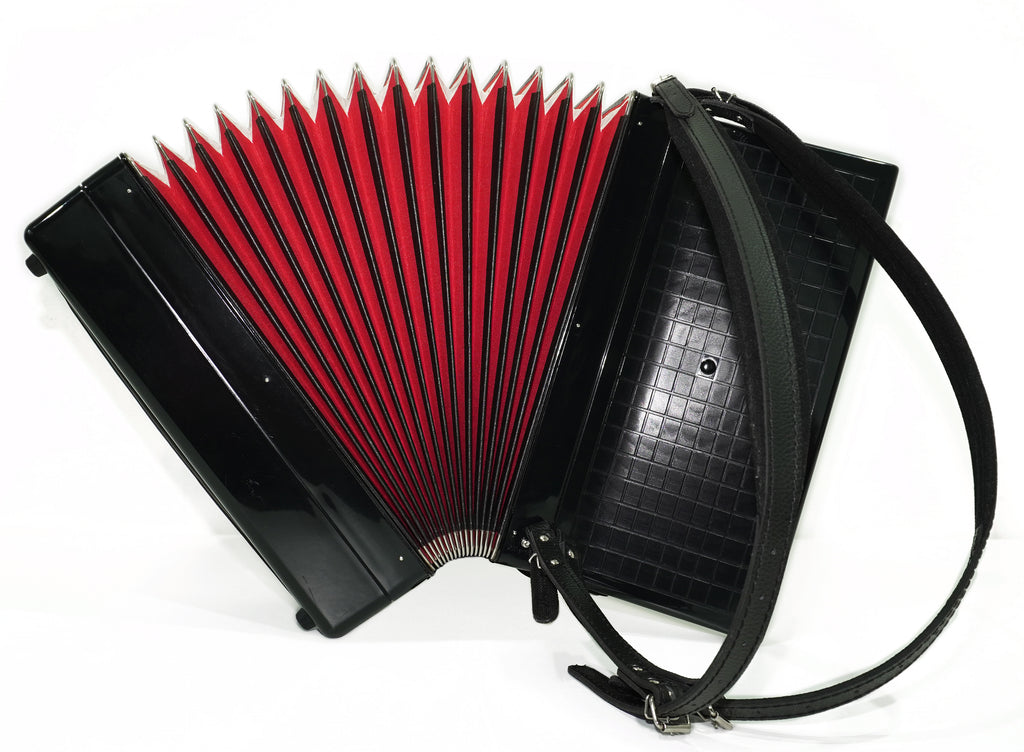 Weltmeister Cordal Accordion 80 Bass made in Germany, New Straps Soft Case for Gift, Keyboard Piano Accordian Musical Instrument, 2753