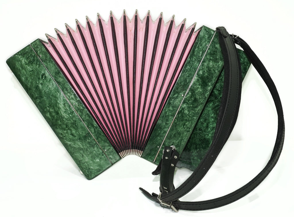 Tulskiy Russian Bayan Etude 205M2, 3 Row Chromatic Button Accordion 100 bass, New Straps and Soft Case for Gift, Acordeone de Botones, 2755