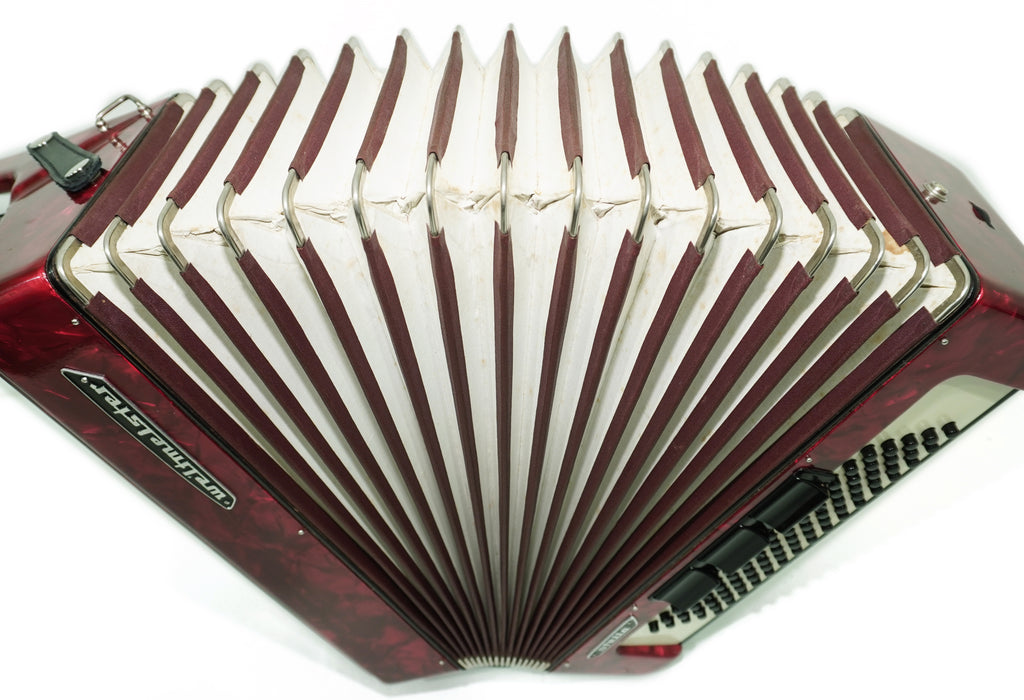 Weltmeister Stella Accordion 80 Bass made in Germany, New Straps Soft Case for Gift, Keyboard Piano Accordian Musical Instrument, 2754