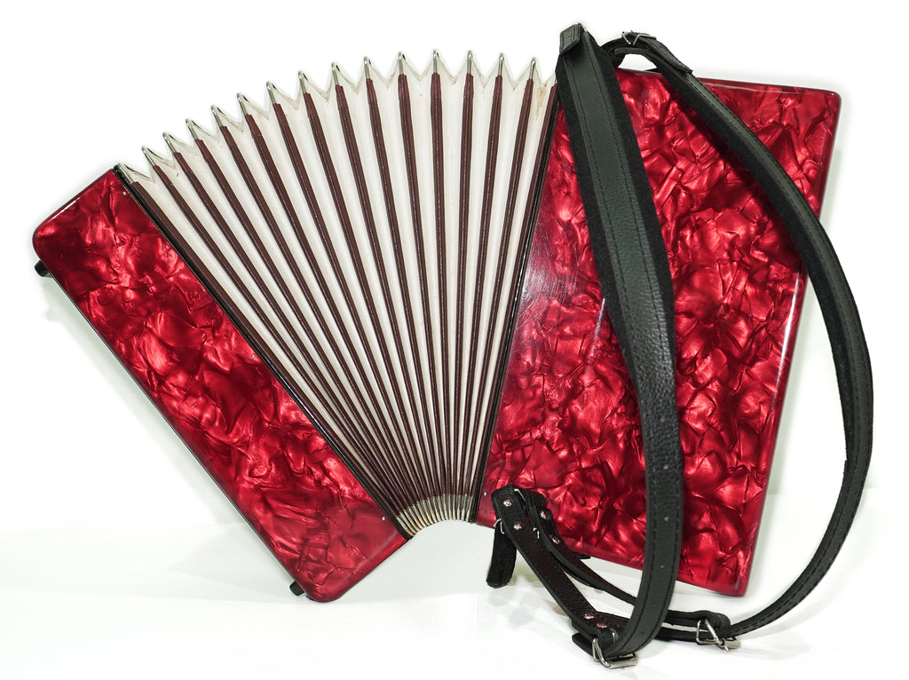 Weltmeister Stella Accordion 80 Bass made in Germany, New Straps Soft Case for Gift, Keyboard Piano Accordian Musical Instrument, 2754