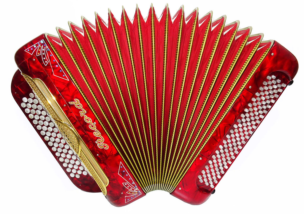 Rare Button Accordion Record C System 123 Bass Buttons made in Italy New Straps Case 2098, Wonderful Rich sound!
