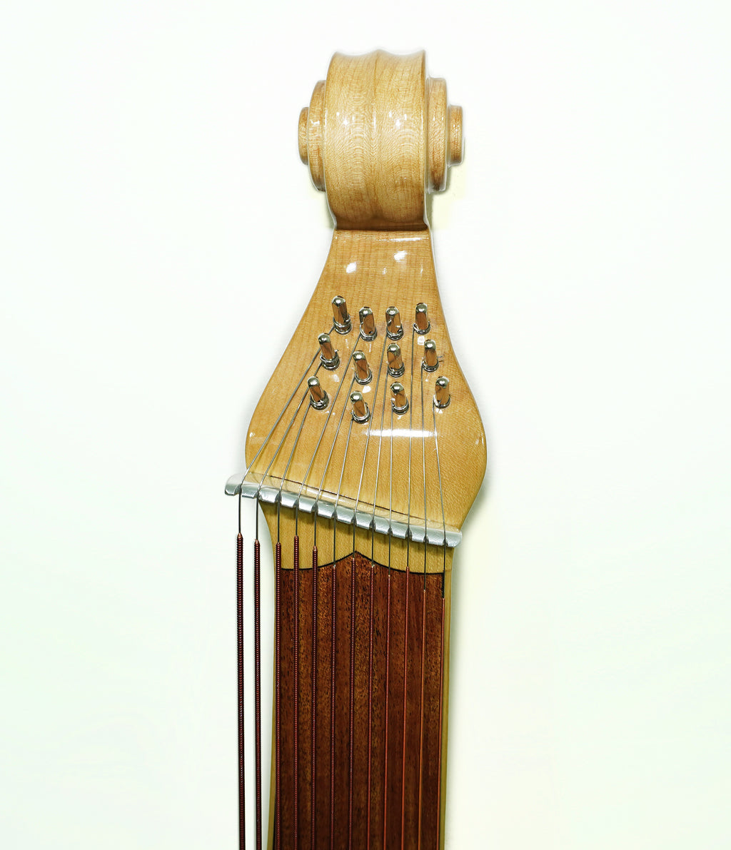 New Folk Lviv Bandura 55 Strings Lightweight Chromatic Musical Instrument made in Ukraine Wonderful Sound!