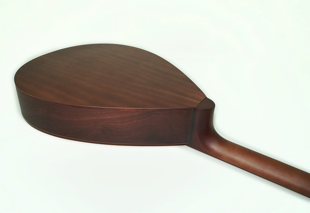 New Folk Acoustic 12 String Lute Guitar Kobza Vihuela made in Ukraine Trembita, Natural Wood Dark!