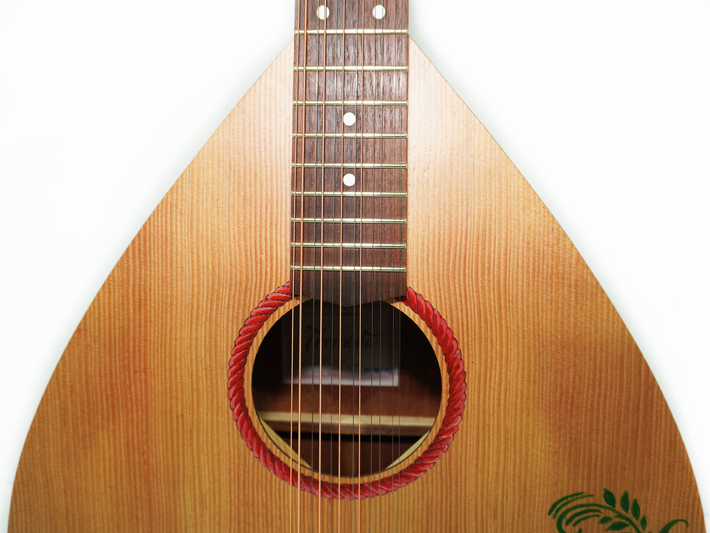 Acoustic Guitar 12 Strings Lute Guitar Folk Kobza Vihuela made in Ukraine Trembita Hand Painted!