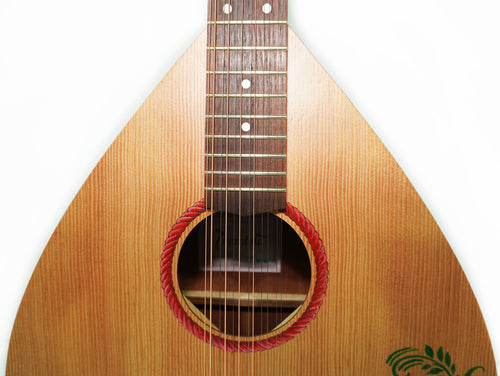 Acoustic Guitar 12 Strings Lute Guitar Folk Kobza Vihuela made in Ukraine Trembita Hand Painted!