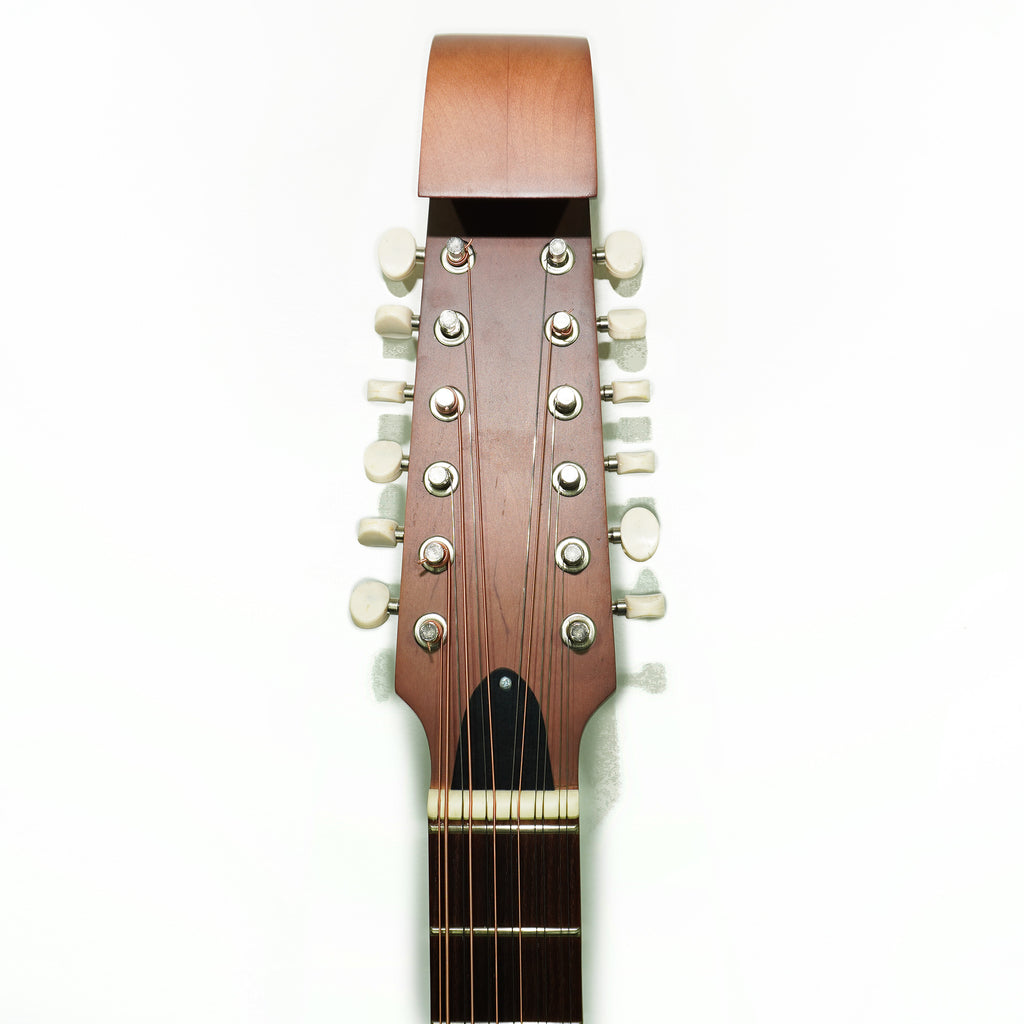 Acoustic Guitar 12 Strings Lute Guitar Folk Kobza Vihuela made in Ukraine Trembita Hand Painted!