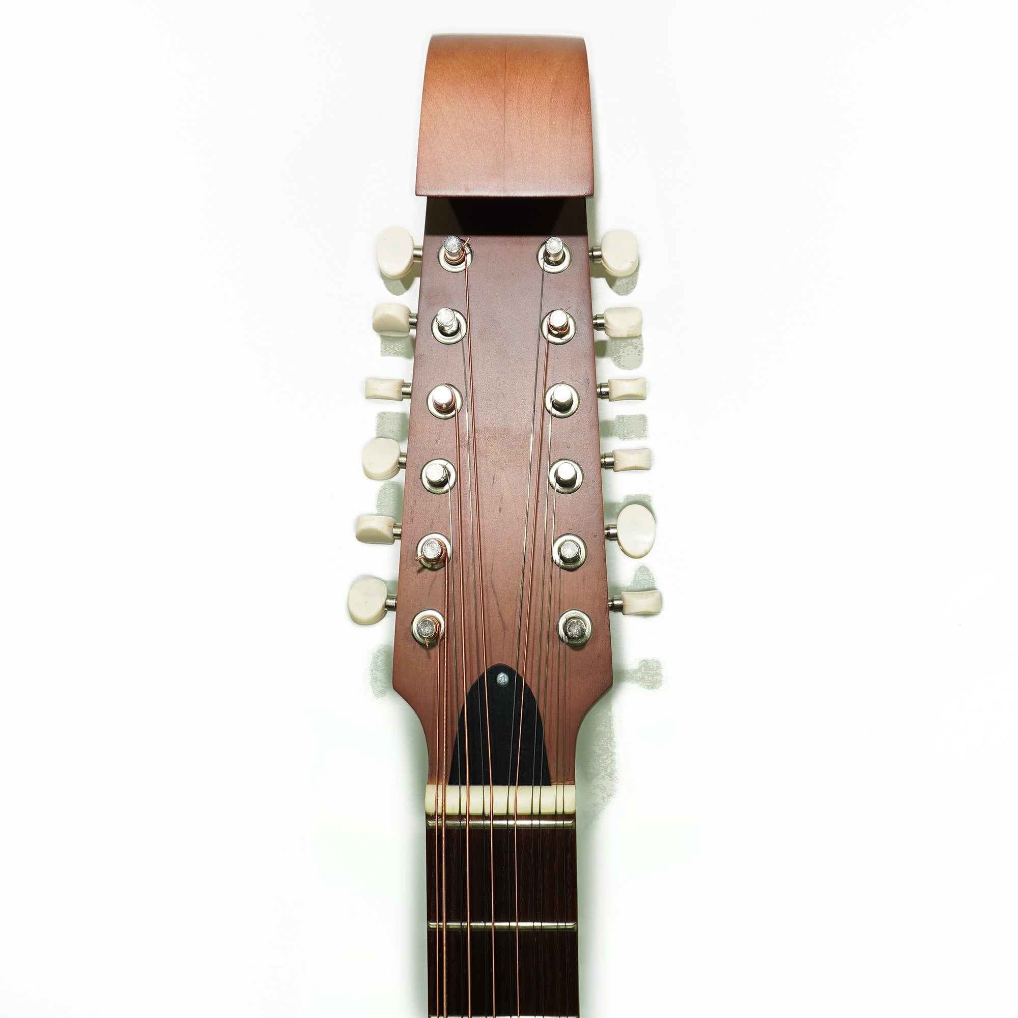 Acoustic Guitar 12 Strings Lute Guitar Folk Kobza Vihuela made in Ukraine Trembita Hand Painted!