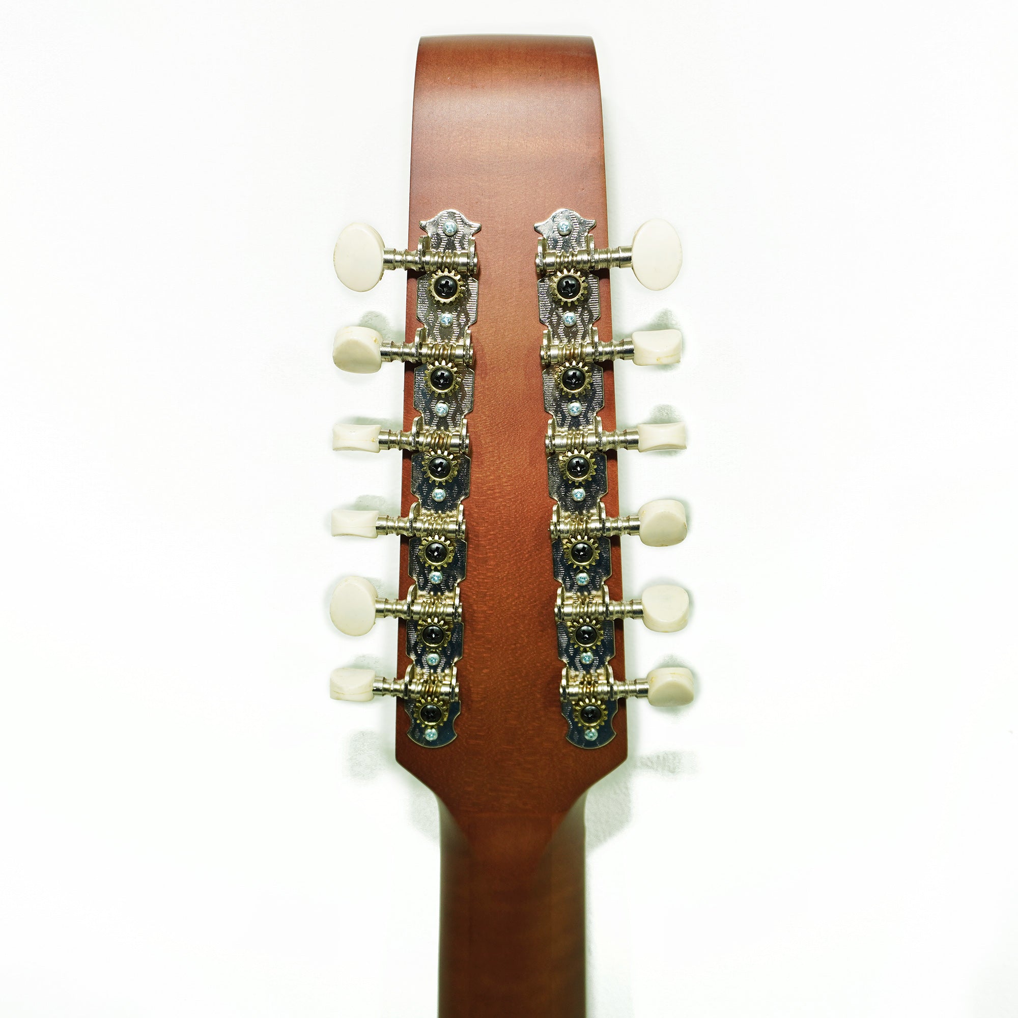 Acoustic Guitar 12 Strings Lute Guitar Folk Kobza Vihuela made in Ukraine Trembita Hand Painted!