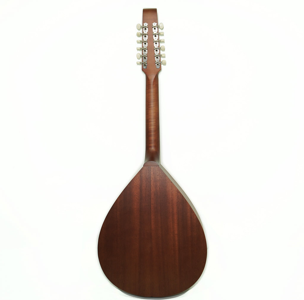 Acoustic Guitar 12 Strings Lute Guitar Folk Kobza Vihuela made in Ukraine Trembita Hand Painted!