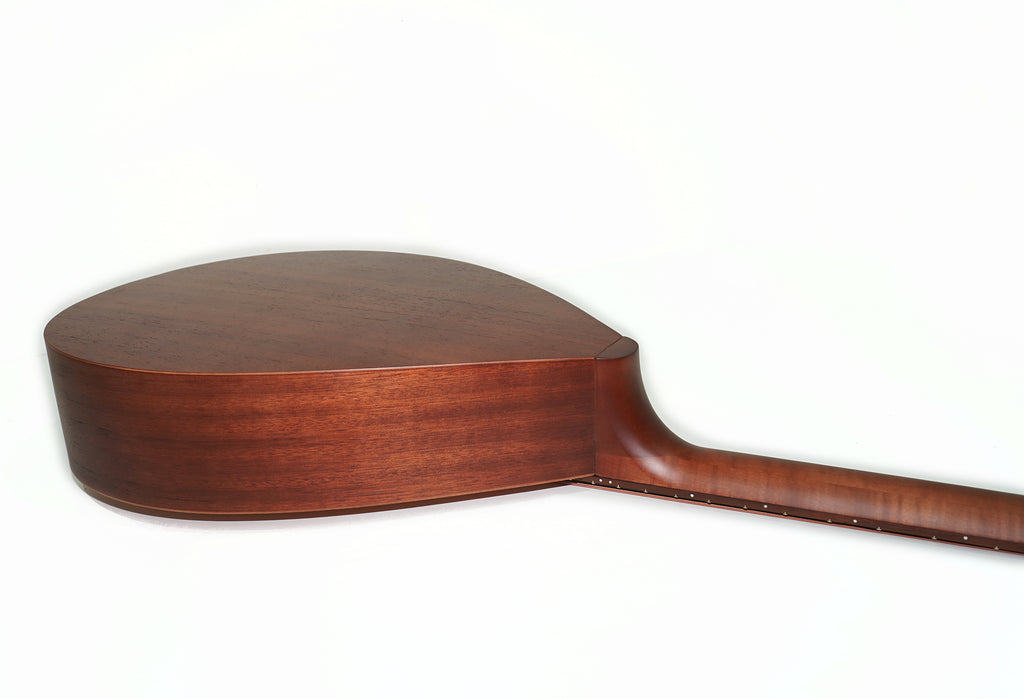 Acoustic Guitar 12 Strings Lute Guitar Folk Kobza Vihuela made in Ukraine Trembita Hand Painted!