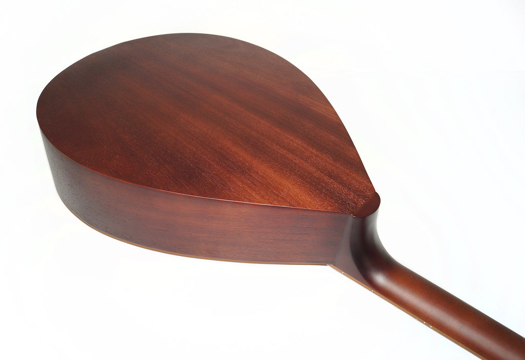 Bass Guitar Lute 4 Strings Folk Kobza Bass Lute Vihuela Natural Wood made in Ukraine Trembita