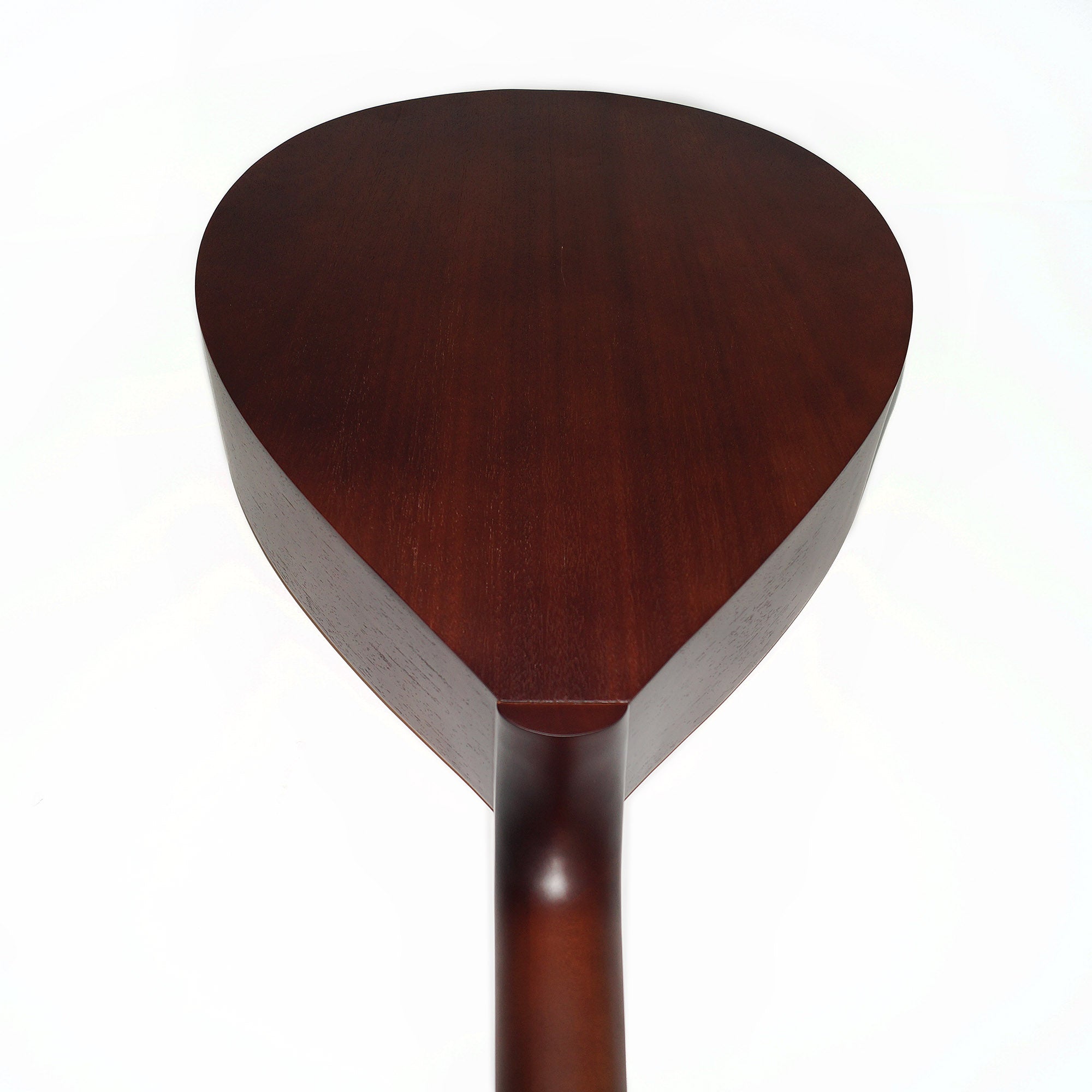 Bass Guitar Lute 4 Strings Folk Kobza Bass Lute Vihuela Natural Wood made in Ukraine Trembita