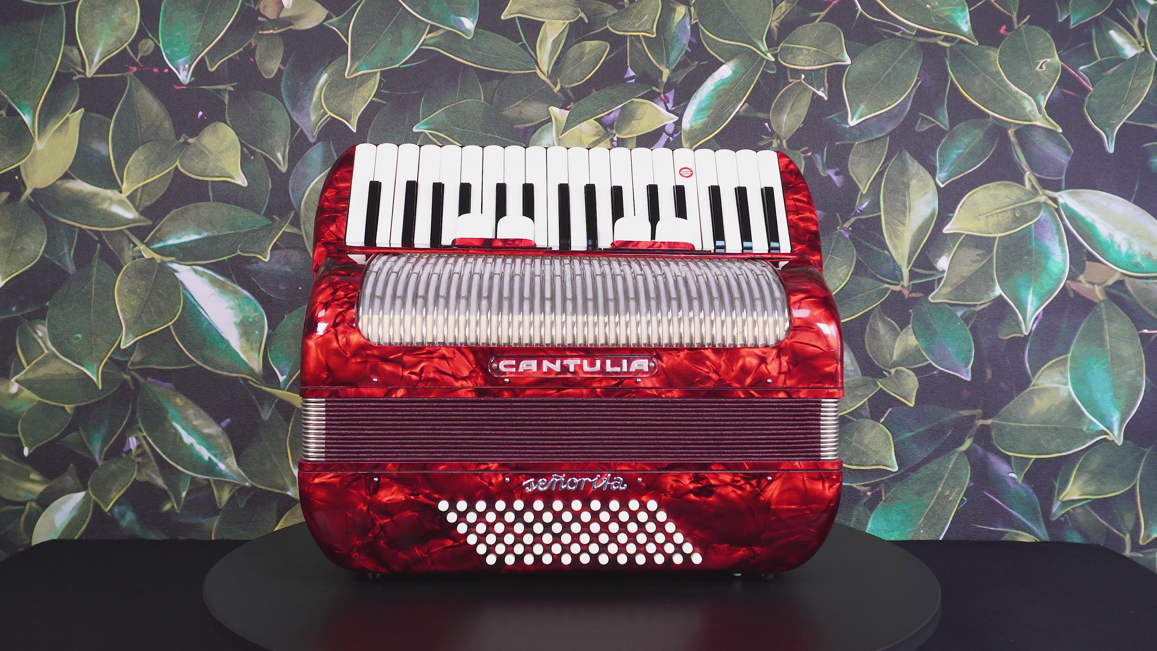 Perfect Cantulia Senorita 72 Bass Accordion, Rare Old German Piano Accordian, New Straps, 2367, Keyboard Accordion Instrument, Rich and Bright Sound