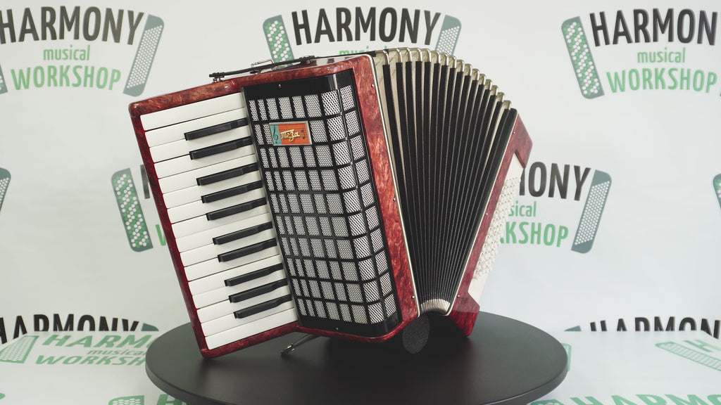 Lightweight Piano Accordion 60 Bass Yunost for Beginners Children Kids, New Straps, Small Concertina Musicales for Study, 2550