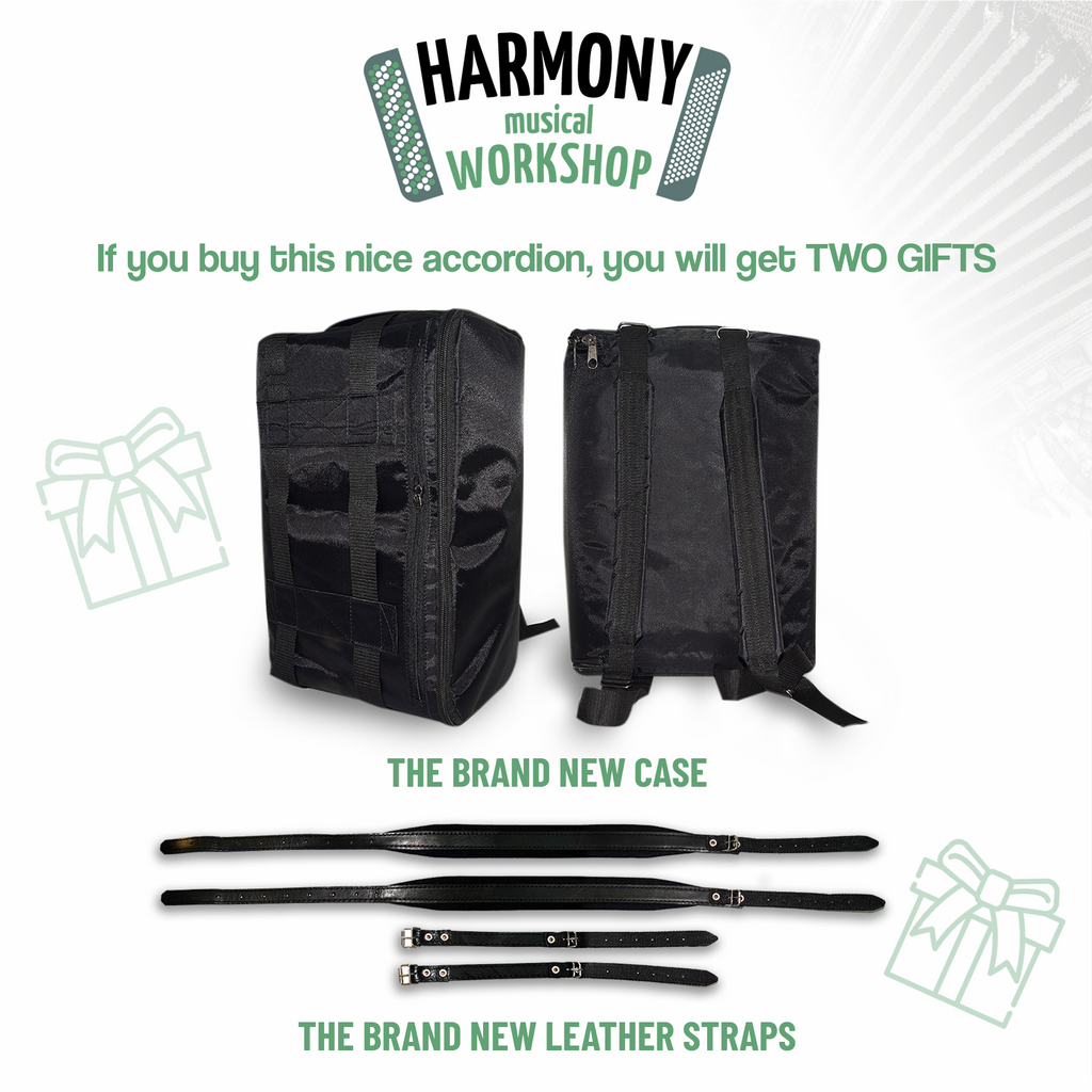 Royal Standard Meteor Full Size Accordion made in Germany, 120 Bass Concert Piano Akkordeon for Adults, New Straps and Soft Bag for Gift, 2626