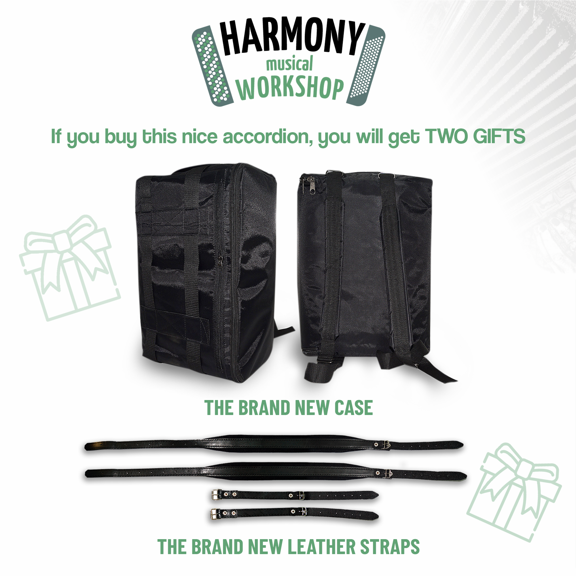 Royal Standard Meteor Full Size Accordion made in Germany, 120 Bass Concert Piano Akkordeon for Adults, New Straps and Soft Bag for Gift, 2626